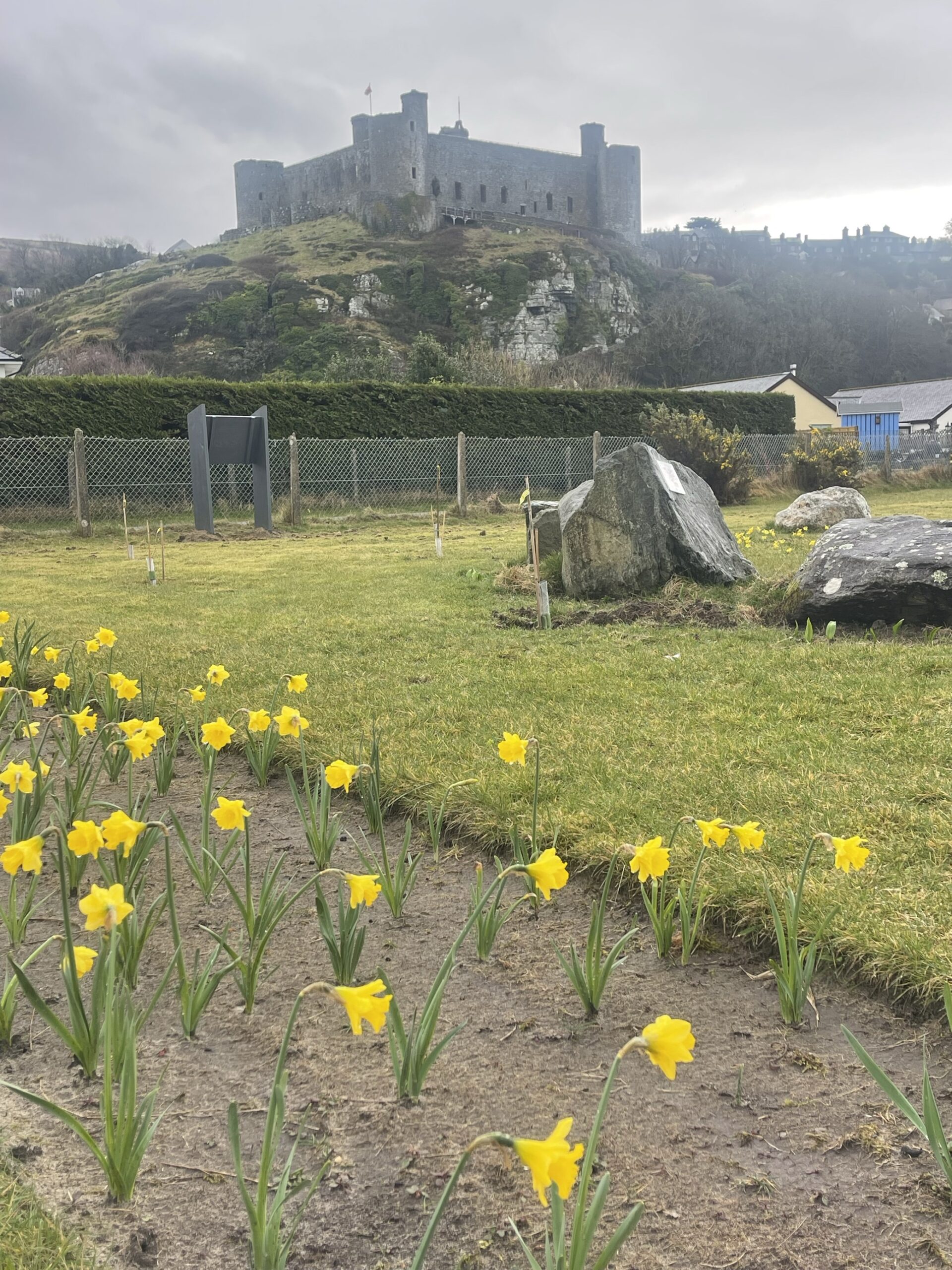 https://authority.eryri.gov.wales/wp-content/uploads/2025/04/Image-22-scaled.jpg